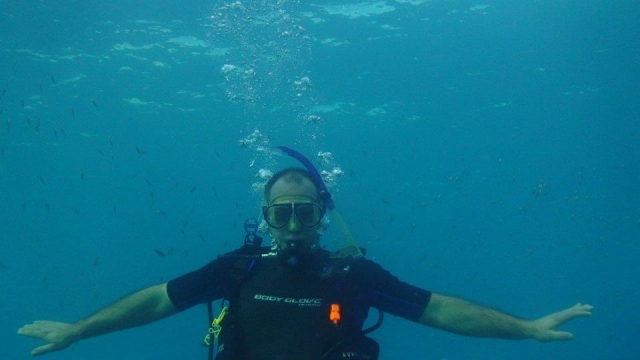 Diver in the ocean 